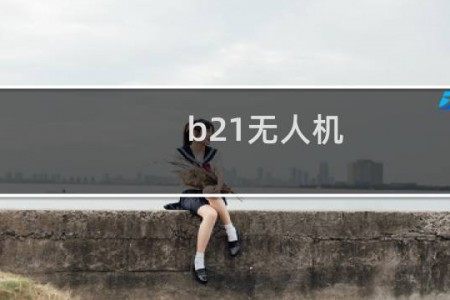 b21无人机