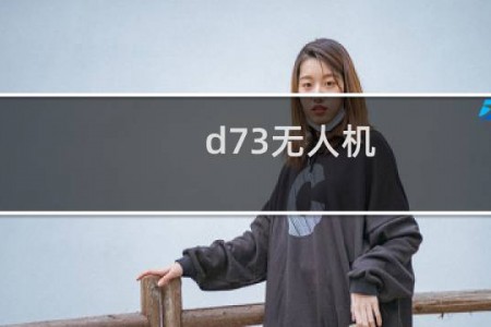 d73无人机