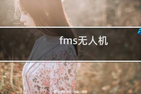 fms无人机