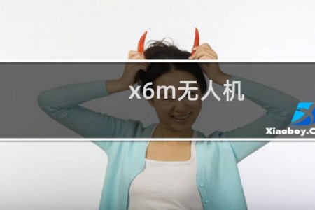x6m无人机